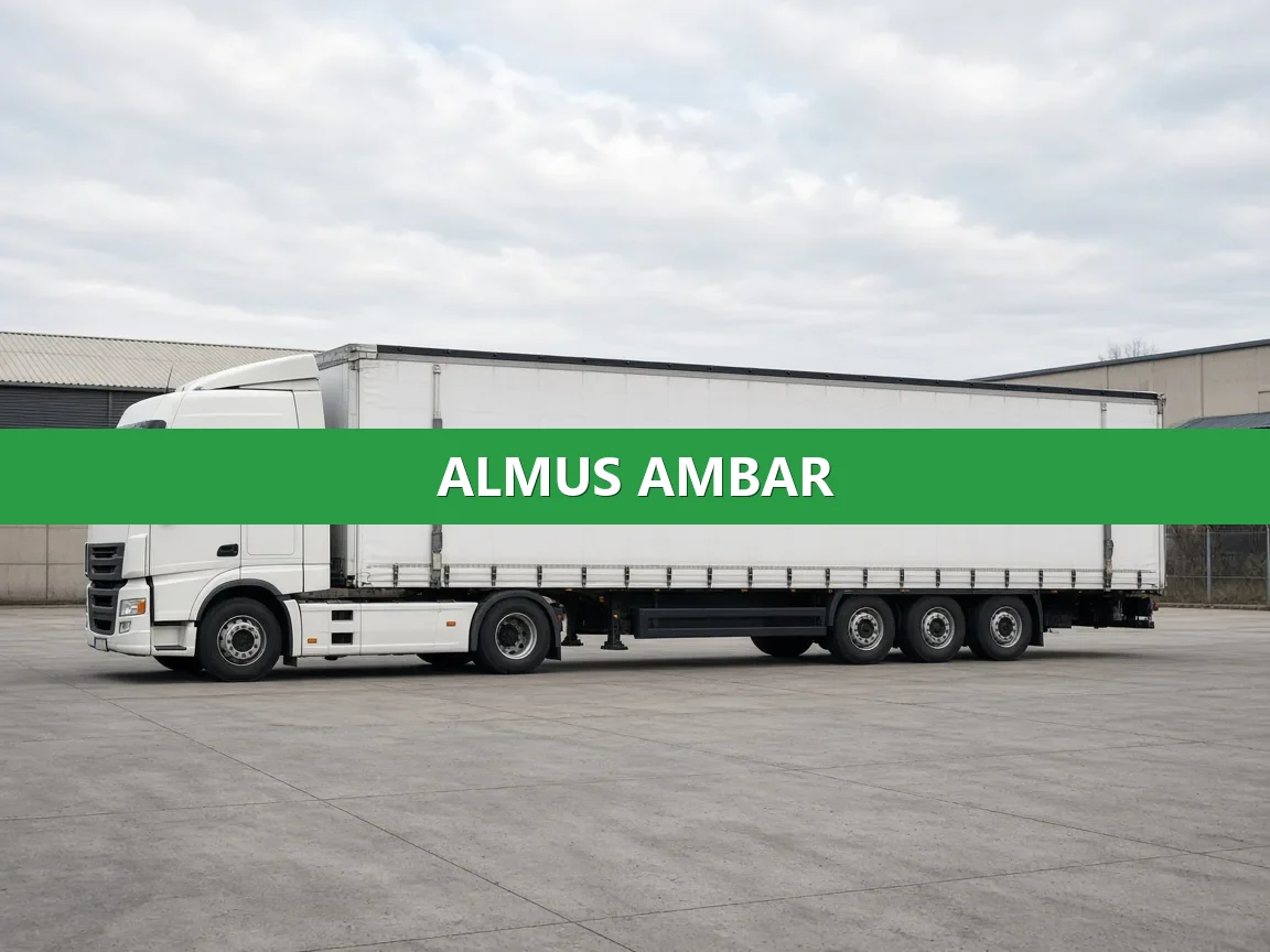 Almus Ambar